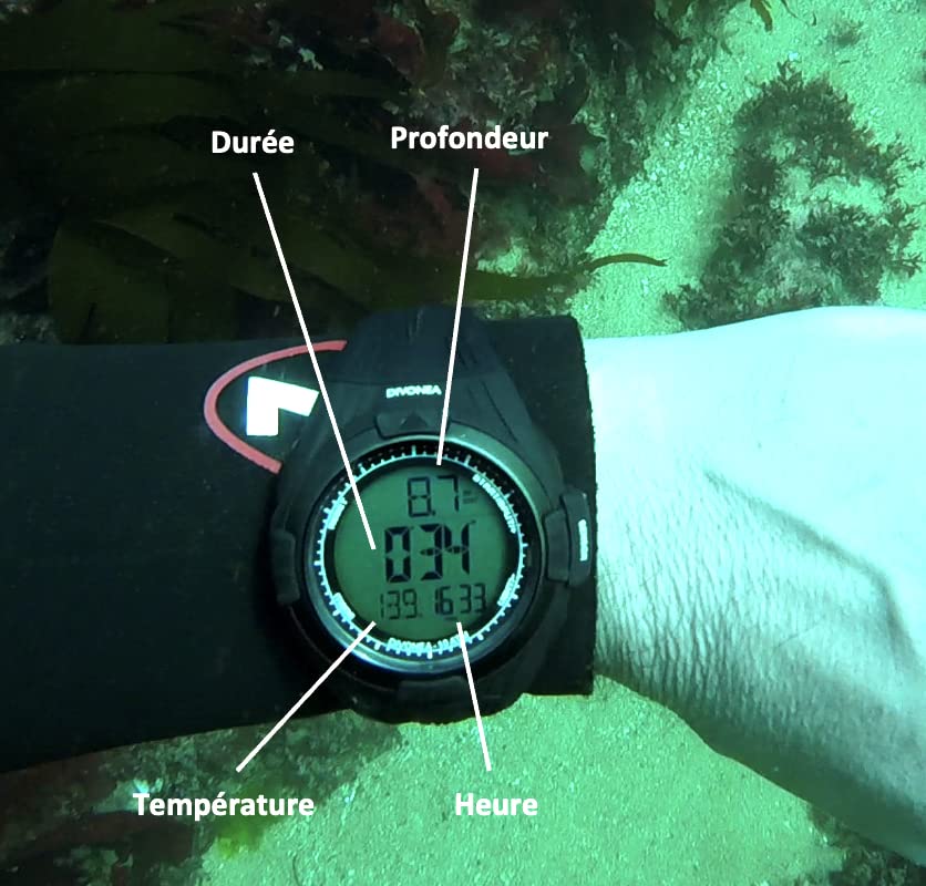 DiVONEA Spearfishing, Freediving and Dive Computer