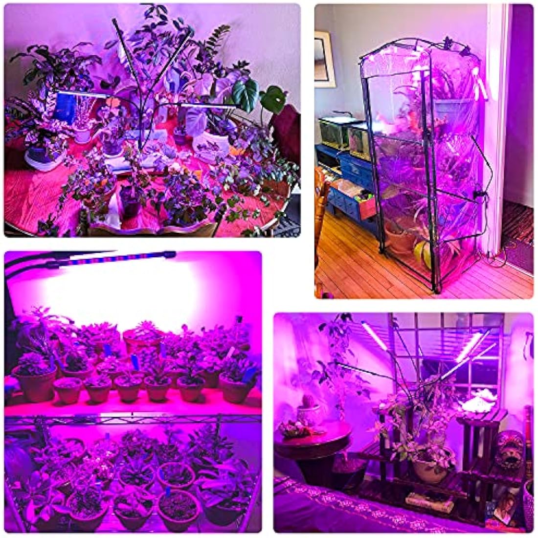 wolezek Grow Lights for Indoor Plants, 80 LEDs 4 Heads Full Spectrum Red & Blue Plant Light with Clip, Grow Lamp with 10 Dimming Level, 4/8/12H Auto Timer, 3 Switch Modes for Seedlings and Succulents