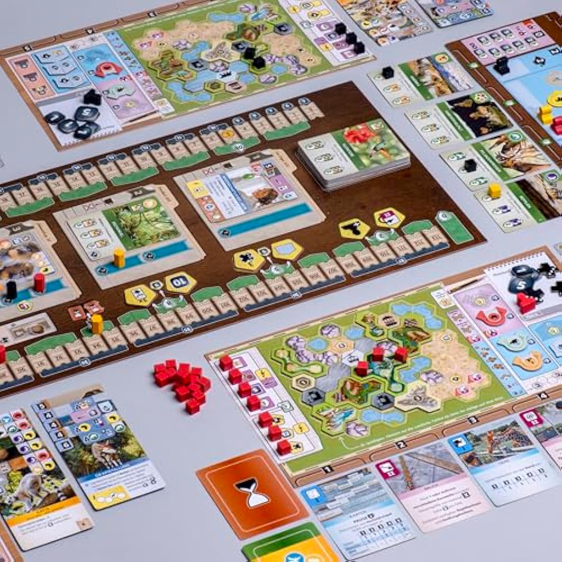 Feuerlandspiele Arch Nova (Spiel)