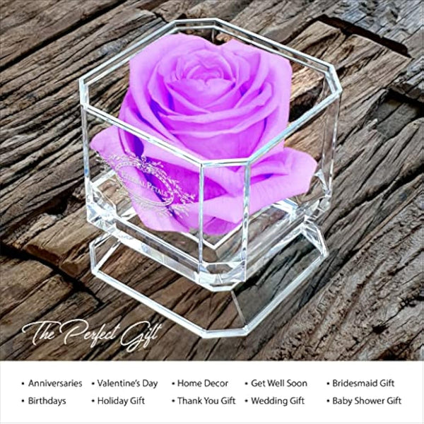 A 100% Real Rose That Lasts Years - Eternal Petals, Handmade in UK – White Gold Solo (Lilac)