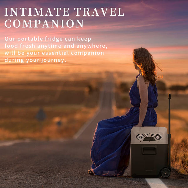 Alpicool CX30 30L Compressor Car Refrigerator, Portable Camping Fridge DC 12v Freezer for Truck, Campervan, RV, Boat, -20℃ to 20℃, with Telescopic Handle, USB Socket