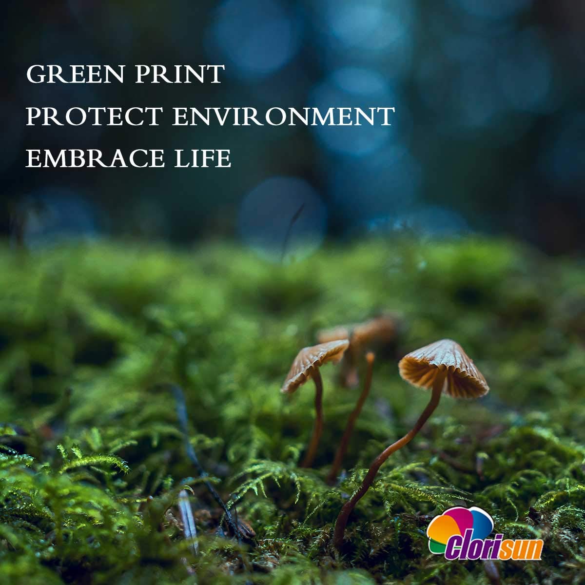 Clorisun 405XL Black Ink Cartridges for Epson 405XL 405 XL Ink for Epson Workforce Pro WF-4820DWF WF-3820 WF-7310 WF-7840DTWF WF-4830DTWF WF-3825DWF WF-4825DWF WF-7835DTWF Printer(2 Black)