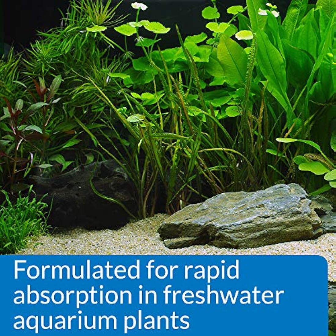 API LEAF ZONE Freshwater Aquarium Plant Fertilizer 237 ml Bottle