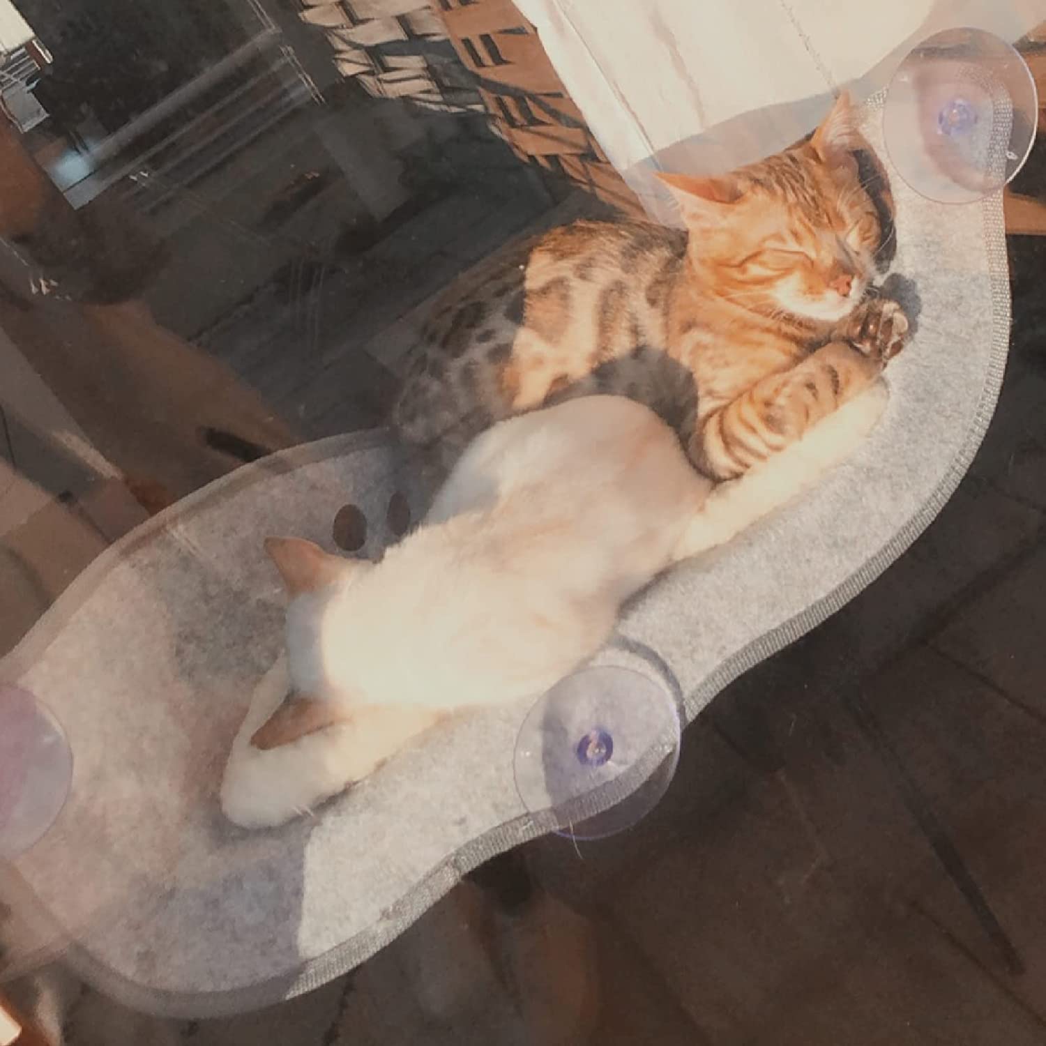 Aoresac Cat Window Hammock,Cat Window Bed,Cat Perch Sunny Seat, Resting Pet Bed, Mounted Pet Kitten Cat Beds for Windowsill Floor Bedside Up to 20KG