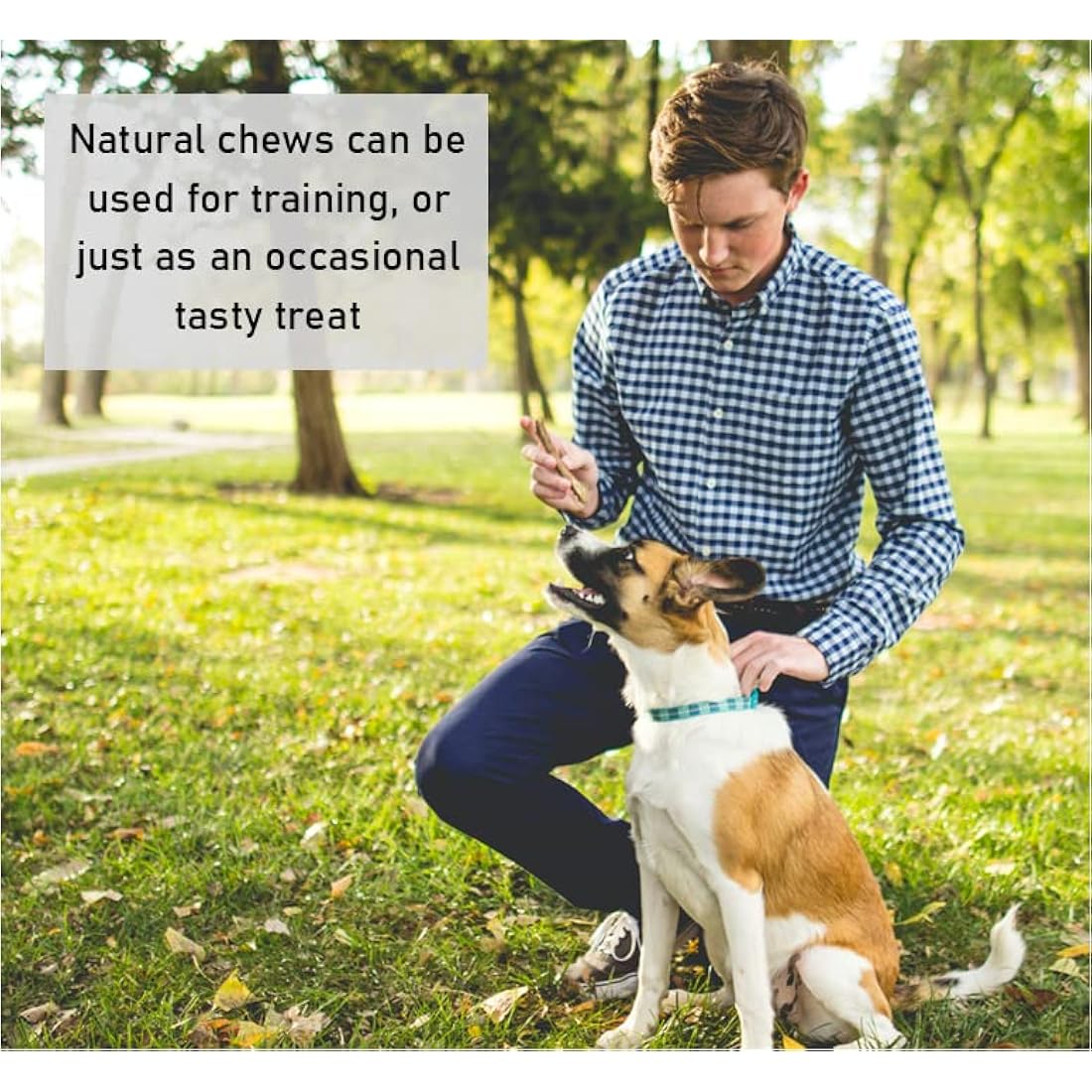 *Premium* Rabbit Ears with Fur 1kg Natural Dog Treats Chews Hypoallergenic Hair LOD3