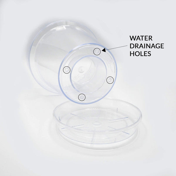 Kalapanta Transparent Plastic Pot for Orchids, with Drainage Holes and Saucer (2, ? 16 cm)