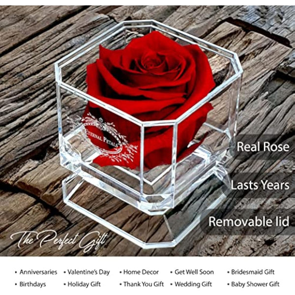Eternal Petals A 100% Real Rose That Lasts Years, Handmade in London, Flowers Delivery Next Day Prime UK – White Gold Solo (Deep Red)