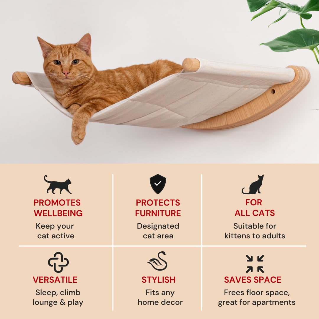 7 Ruby Road Cat Hammock Wall Mounted Shelf with Two Steps Set - Wall Shelves and Perches for Sleeping, Playing, Climbing and Lounging - Modern Cat Bed