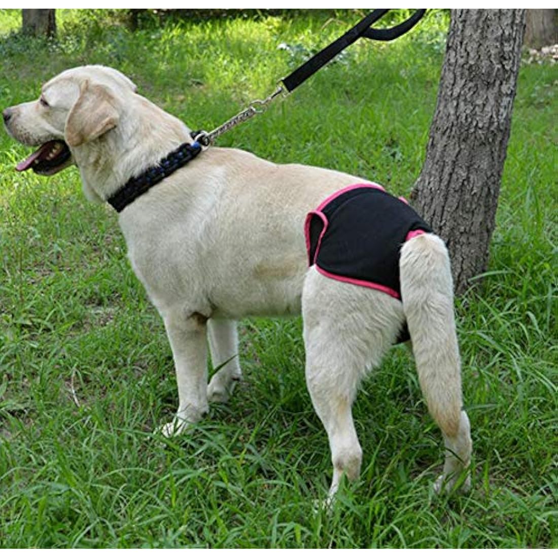 Diyafas 2 Pack Reusable Dog Nappies Physiological Pants Underwear Female Pet Sanitary Pads Hygiene Diapers for Small Medium and Large Dogs