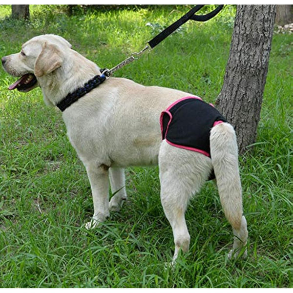 Diyafas 2 Pack Reusable Dog Nappies Physiological Pants Underwear Female Pet Sanitary Pads Hygiene Diapers for Small Medium and Large Dogs