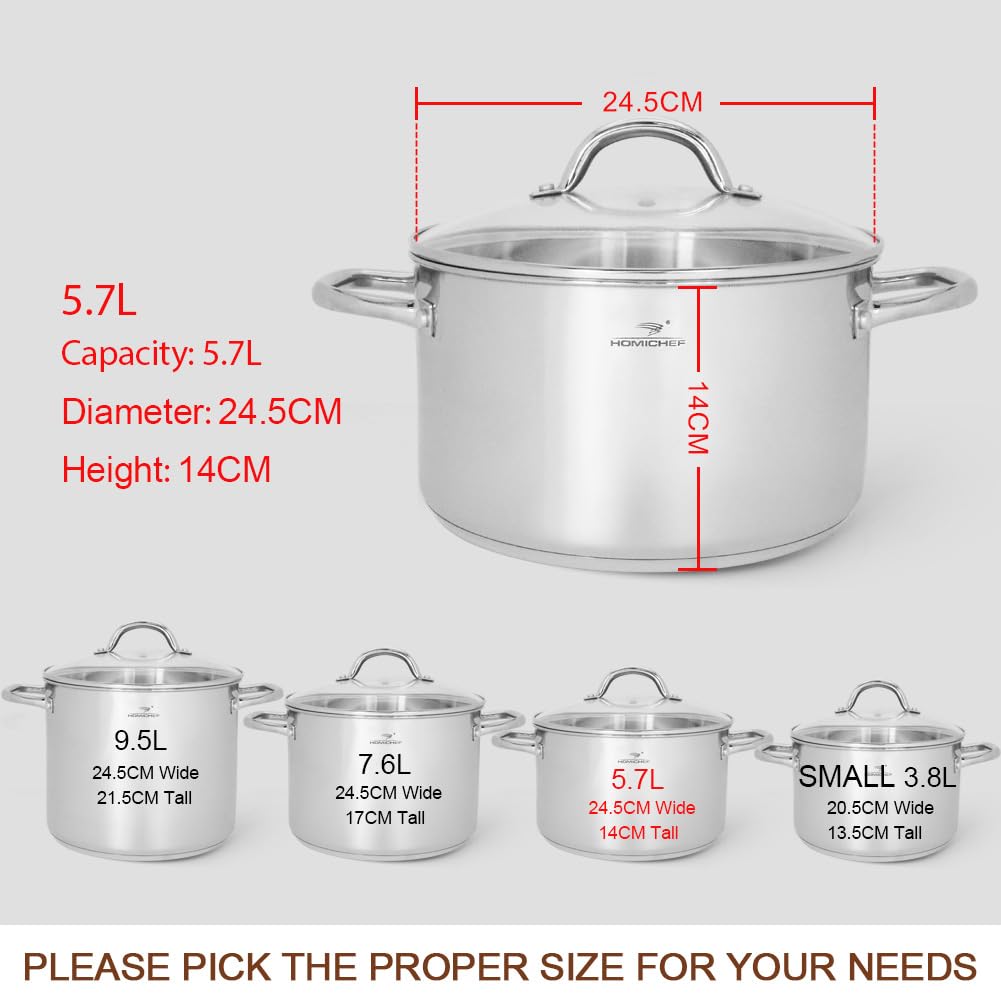 HOMICHEF Stock Pot 24.5 cm 5.7 Litre Nickel Free Stainless Steel - 5.7 Litre Pot with Lid and Handle - Soup Pot Small Cooking Pot