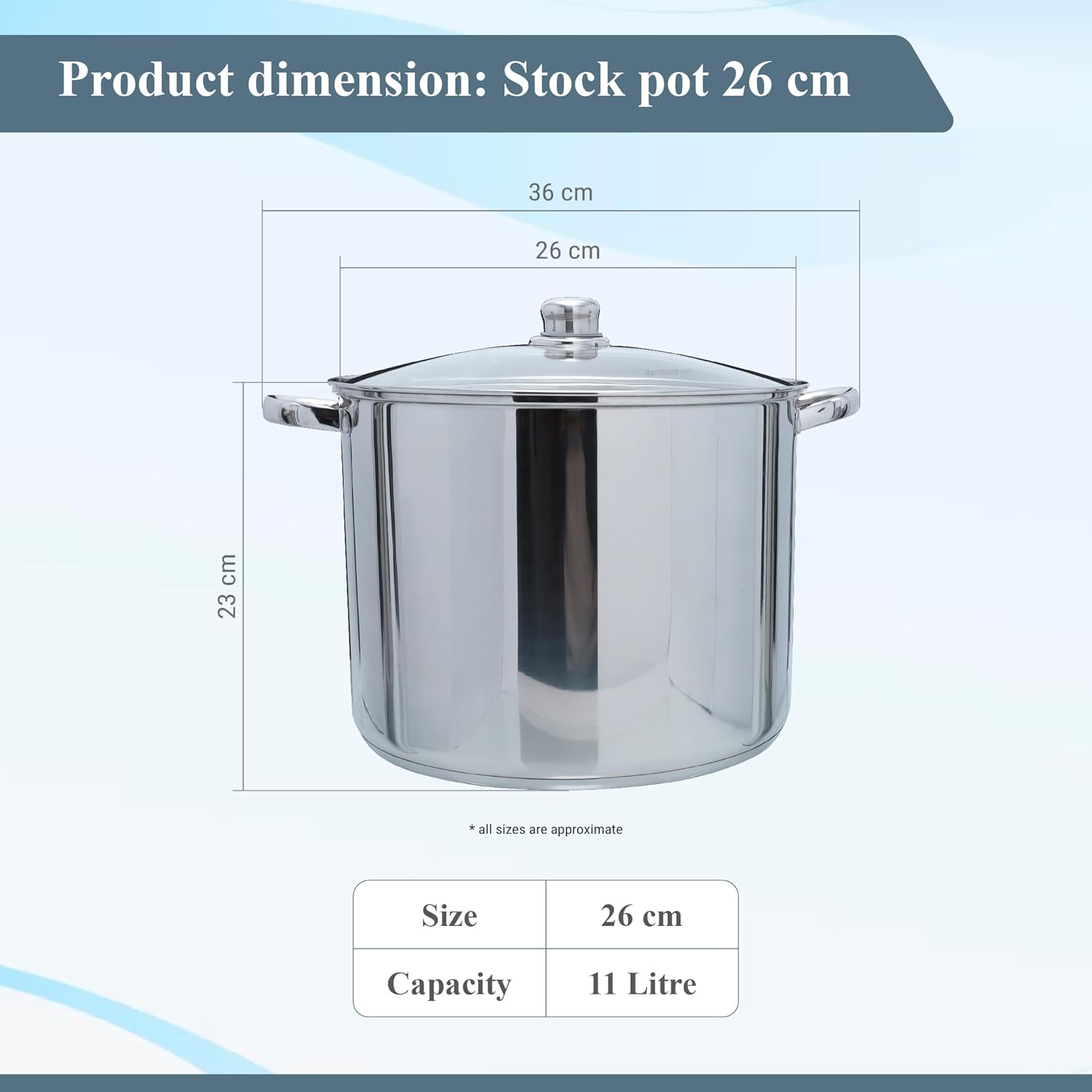 Buckingham Stainless Steel Stock Pot with lid Multipurpose Large Cooking Pot for Soups Stews (11 Litre)