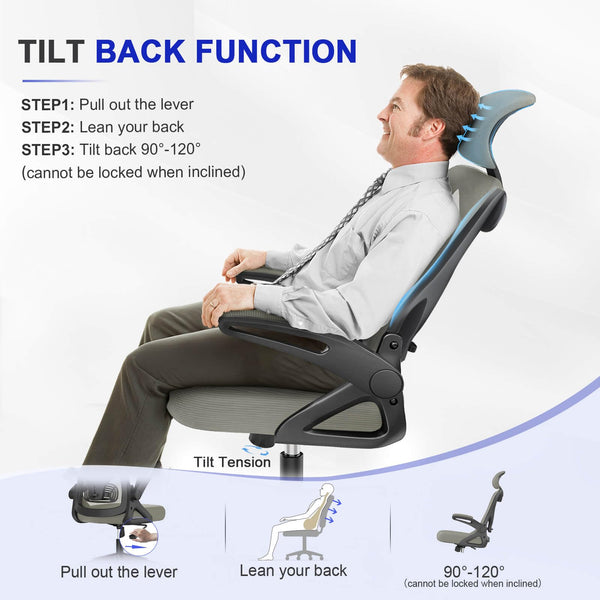 Office Chair - Ergonomic Desk Chair with Lumbar Support Headrest Adjustable, Padded Flip-up Armrests Comfy Seat Cushion High Back Executive Manager Chair For Home Office