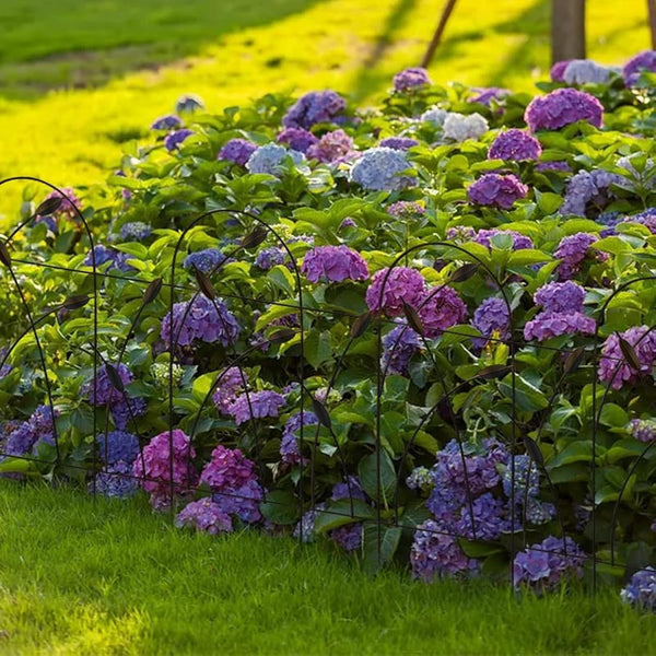 Thealyn Metal Decorative Garden Fence Panels, 82cm.H x 50cm.W (10 Panels, Total Length 4.9m) No Dig Fence Rustproof Wrought Iron Landscape Fencing for Flower Bed, Trees, Animal Barrier, Bronze