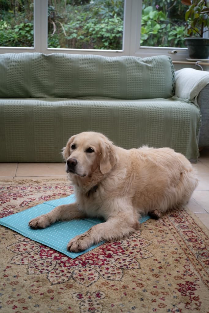 Petface Cooling Summer Dog Coat, 70 cm, Blue