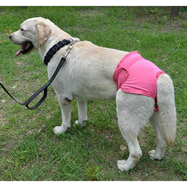 Diyafas 2 Pack Reusable Dog Nappies Physiological Pants Underwear Female Pet Sanitary Pads Hygiene Diapers for Small Medium and Large Dogs