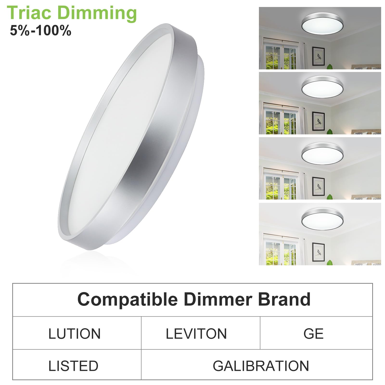 DINGLILIGHTING 24W Modern LED Flush Mount Ceiling Light, 13 Inch Silver Low Profile Light Fixture, Thin Round Close to Ceiling Lights for Kitchen