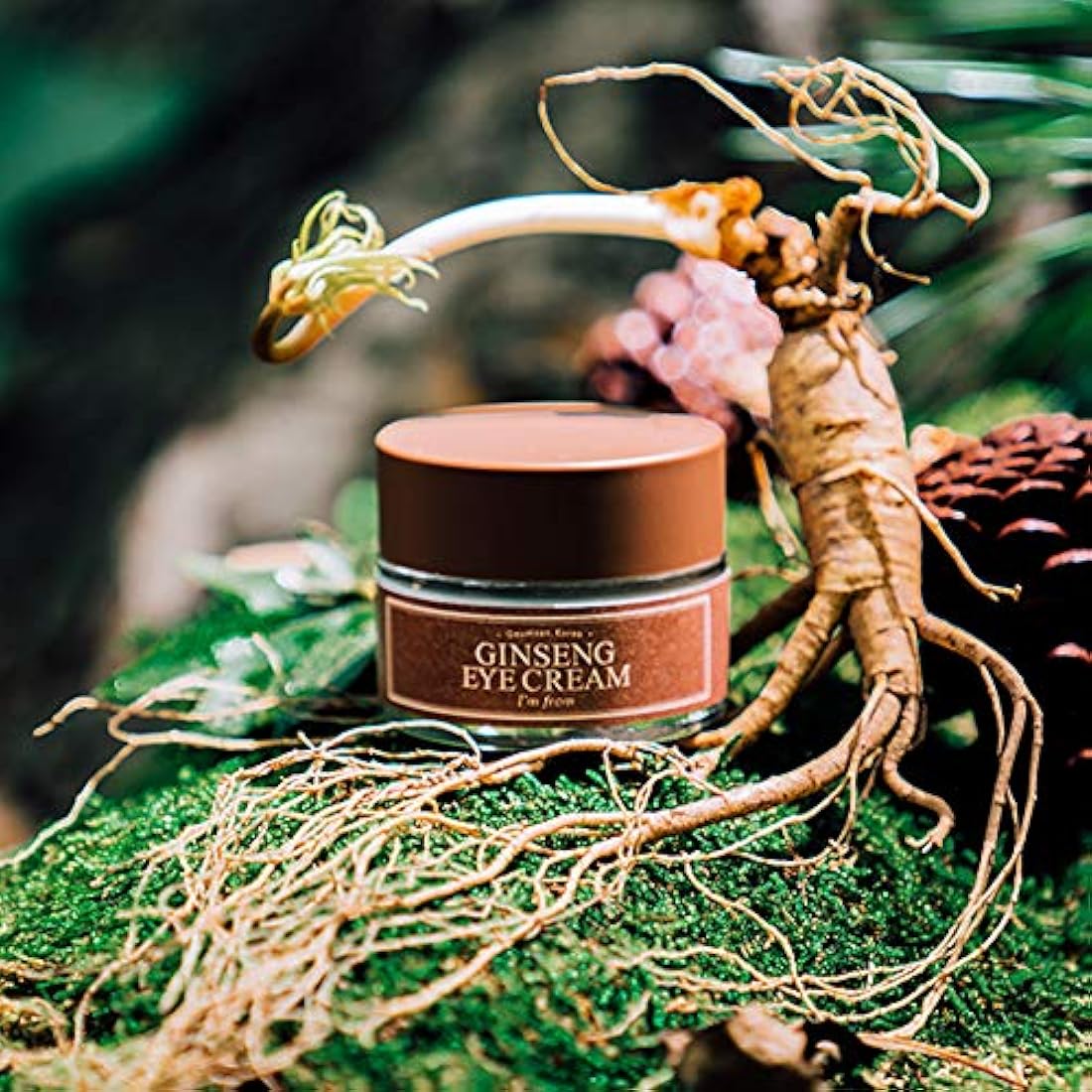 I'm from Ginseng Eye Cream 30g - Rare Ginseng Nourishment for Tired Eyes, Wood-Cultivated Ginseng, Moisture-Lock Formula, Firm Face Line