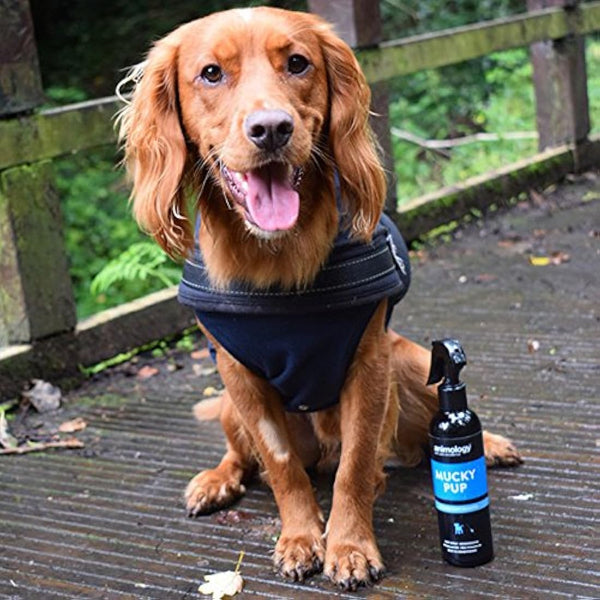 Animology Mucky Pup No-Rinse Shampoo Puppy Spray 250ml