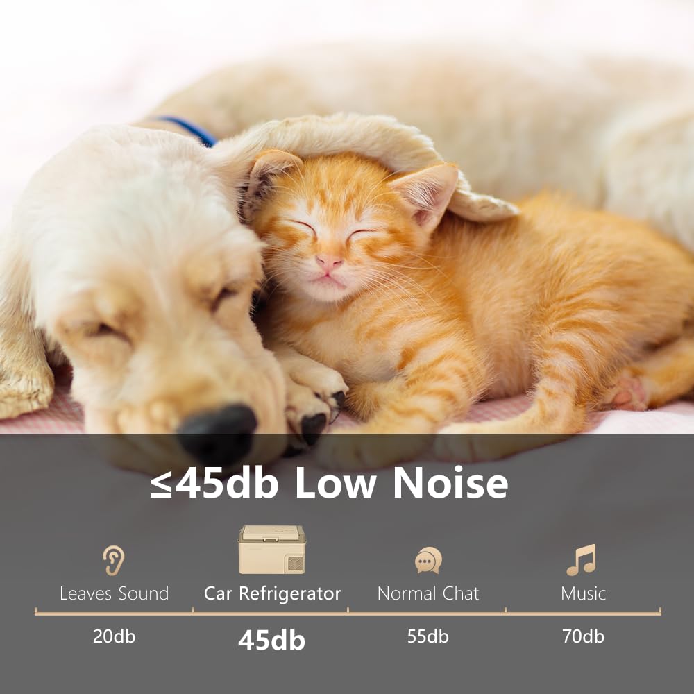 Alpicool X50 50L Car Fridge Freezer Portable Compressor Car Refrigerator 12/24V Electric Cooler for Camping, Road Trip, Picnic, Down to -20℃