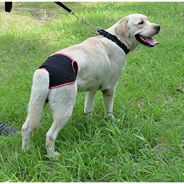 Diyafas 2 Pack Reusable Dog Nappies Physiological Pants Underwear Female Pet Sanitary Pads Hygiene Diapers for Small Medium and Large Dogs