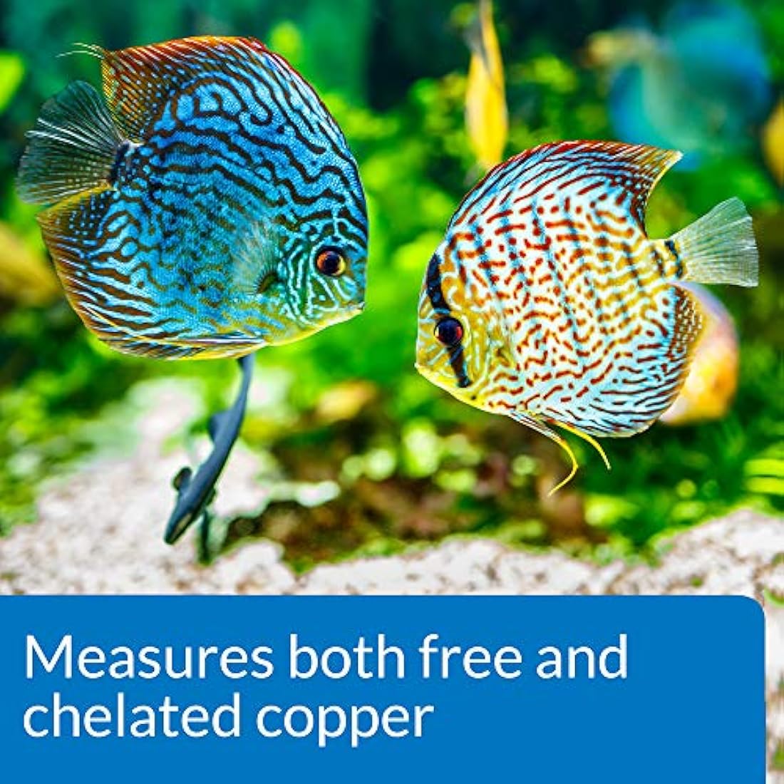 API COPPER TEST KIT 90-Test Aquarium Water Test Kit