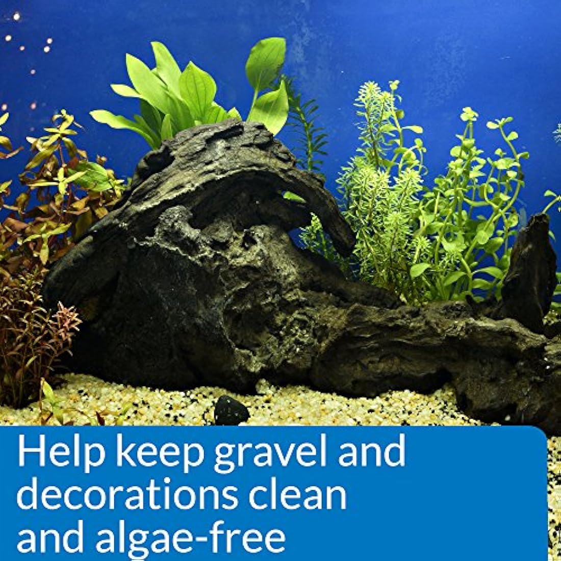 API STRESS ZYME Freshwater and Saltwater Aquarium Water Cleaning Solution 118 ml Bottle