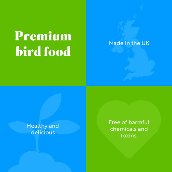 RSPB - Peanuts for Wild Birds, Wild Bird Food for Small Birds, High Energy Food, Rich in Protein and Fat, Free from Aflatoxin, Made in the UK,