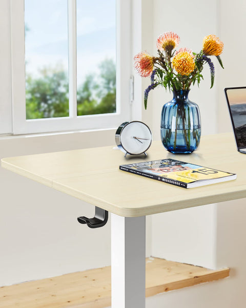 ErGear Electric Standing Desk Height Adjustable 120 x 60cm, Sit Stand Desk with 4 Memory Smart Pannel for Home Office with Splice Board