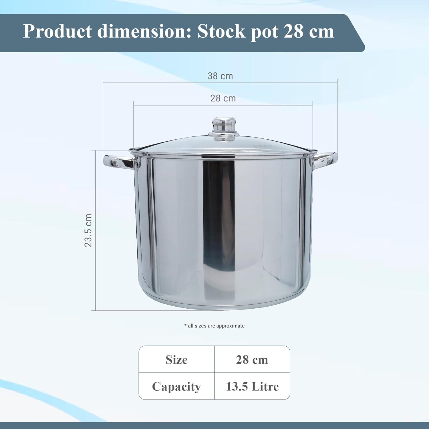 Buckingham Stainless Steel Stock Pot with lid Multipurpose Large Cooking Pot for Soups Stews (11 Litre)