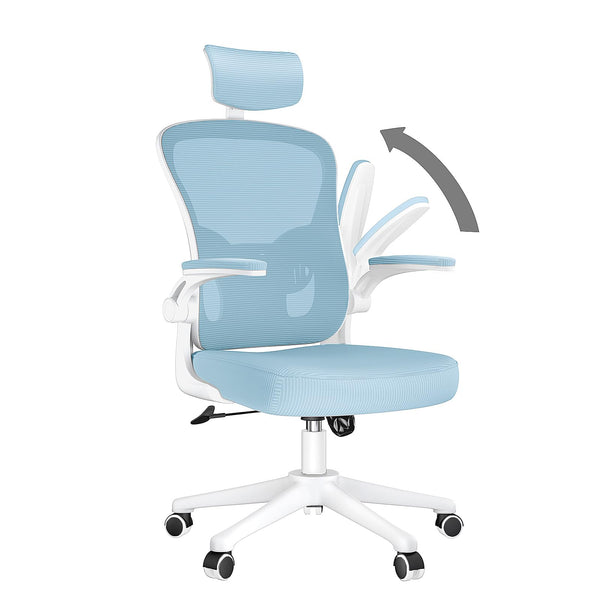 naspaluro Office Chair Ergonomic Desk with 90° Flip-up Armrest Lumbar Support, Height Adjustable Chair, Executive Swivel Computer Padded Seat Cushion for Home/Office