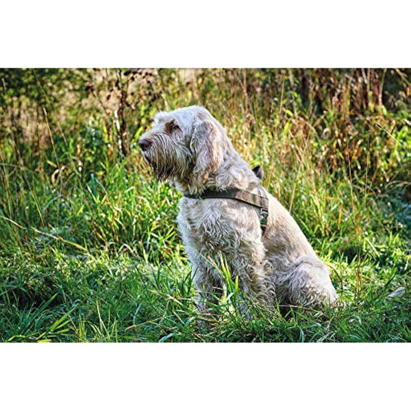 HUNTER Norwegian harness for Dogs Hunting, 55 x 71-97 cm, Brown