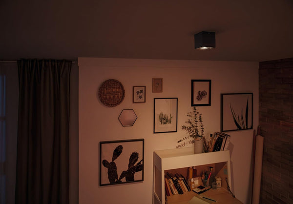 Philips MyLiving 5049130p0 4.5 W Black Point of Illumination  Point of Light (Black, Metal, 1 Bulb (S), 4.5 W, Warm White, 50 )