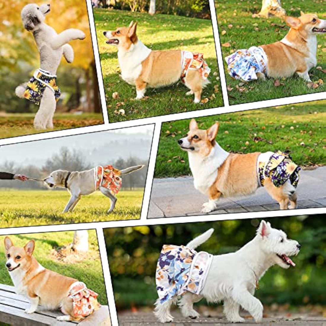 COMSLE Dog Nappies Female X Small 3 Pack, Dog Period Heat Pants in Season, Super Absorbent & Adjustable Sanitary Reusable Doggy Puppy Diapers