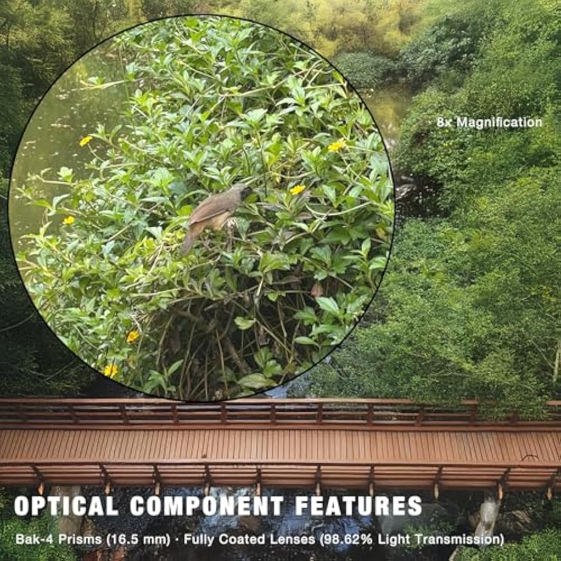 Hontry 8x42 Roof Binoculars for Adults, IPX6 Nitrogen-Filled Waterproof Binoculars for Bird Watching, Hunting, Cruise Ship, Travel and Safari