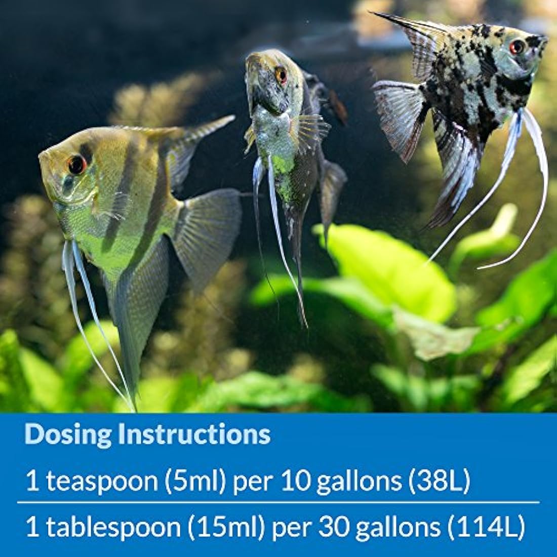 API Stress Coat Aquarium Water Conditioner, Fish , 473 ml Bottle