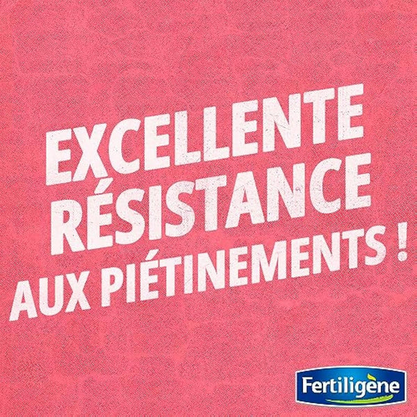 EVERGREEN FERTILIGENE GAZON RUSTIQUE UNIVERSEL, 35MA� RUST35