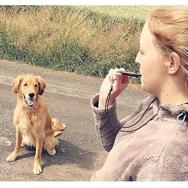 Acme dog whistle no.211.5, from England, ideal for dog training, robust material, standard frequency, loud and far-reaching