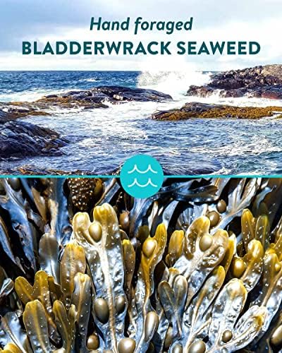 Hills and Harbour Gin 70cl (40% ABV) - Multi-Award Winning Scottish Craft Gin - Infused with Forest Fir, Tropical Fruits, Citrus Spice and Tangy Sherbet - Innovative New Eco-Friendly Bottle Available