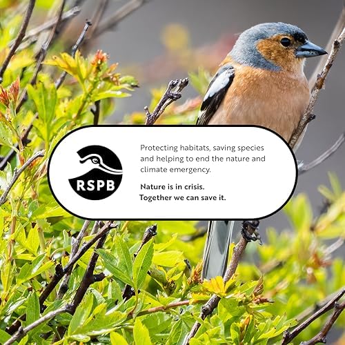 RSPB Sunflower Hearts Wild Bird Food 4kg, High in Energy & Protein, Great For Bird Feeders, Supporting The RSPB Charity, Resealable & Recyclable Packaging