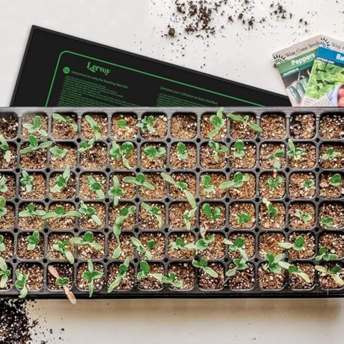 LERWAY Seedling Heating Mat Plant Warming Mat Waterproof Greenhouse Heating Pad 21W for Propagation Germination Tray Hydroponic Terrarium Reptile Amphibian Heat Mat 25.4cm*50.8cm (25.4 * 50.8cm x 2)