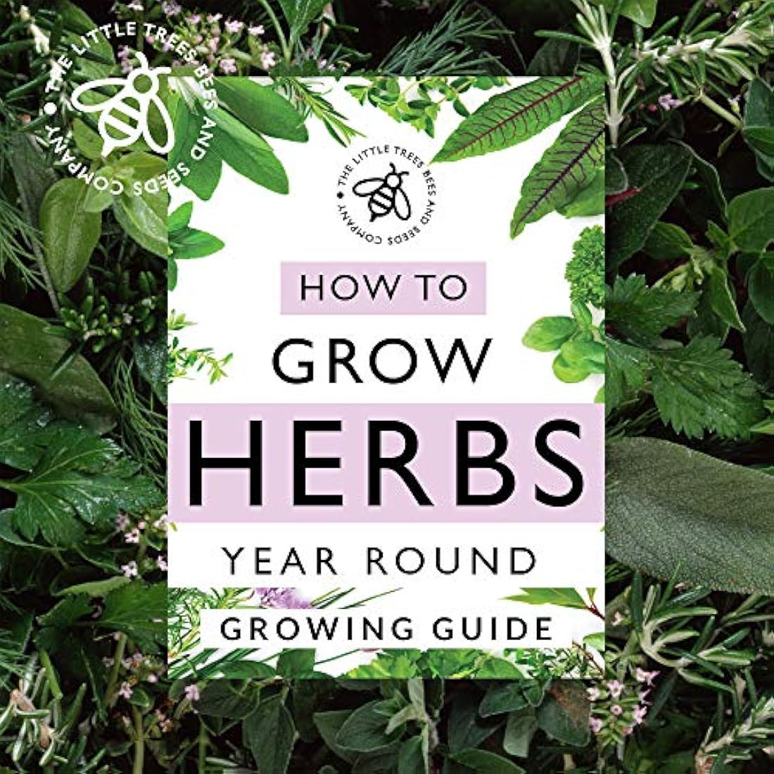 Herb Seeds for Gardening, 15 Seed Varieties Included in This Grow Your Own Herb Garden Pack, The Little Trees Bees & Seeds Company