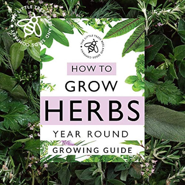 Herb Seeds for Gardening, 15 Seed Varieties Included in This Grow Your Own Herb Garden Pack, The Little Trees Bees & Seeds Company