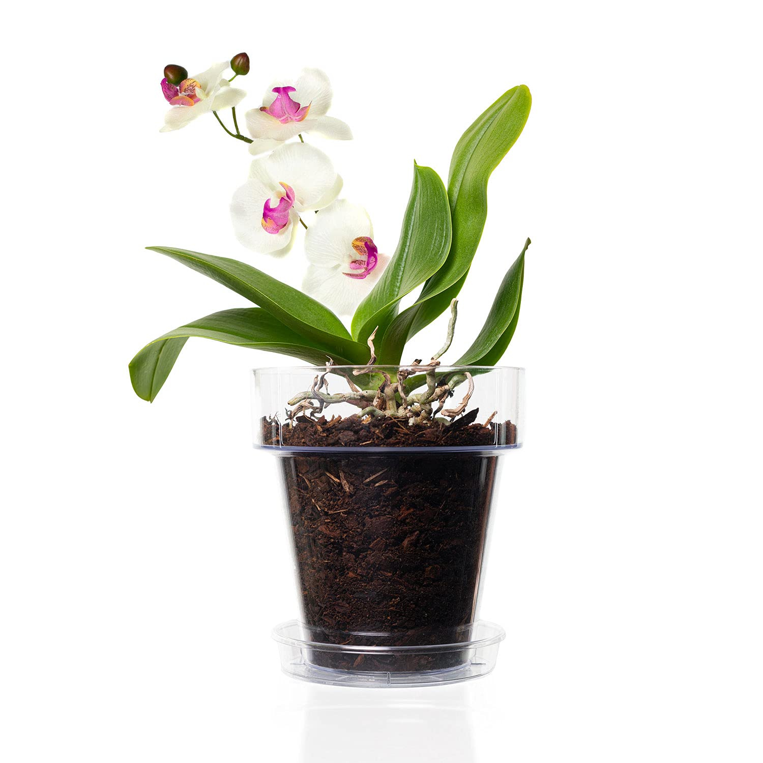 Kalapanta Clear Plastic Orchid Pot with Drainage Holes and Saucer (5, 16 cm Diameter)