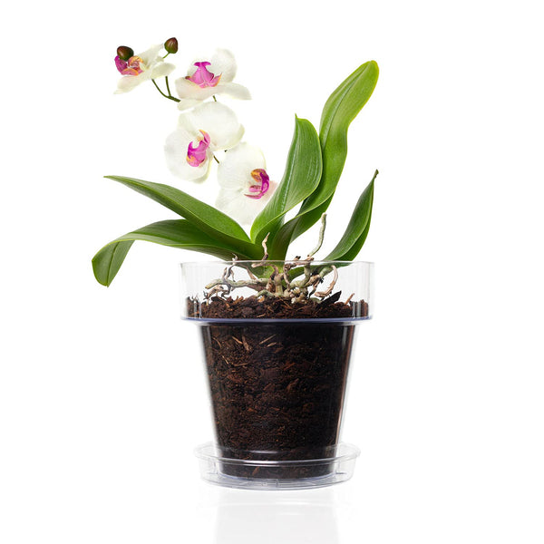 Kalapanta Clear Plastic Orchid Pot with Drainage Holes and Saucer (5, 14 cm Diameter)