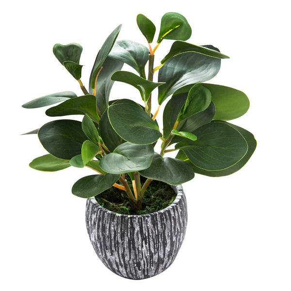 AlphaAcc Artificial Plants Real Looking and Touching Fake Plant Evergreen Plastic Fiddle Leaf Fig Plant with Rustic Black Cement Planter for
