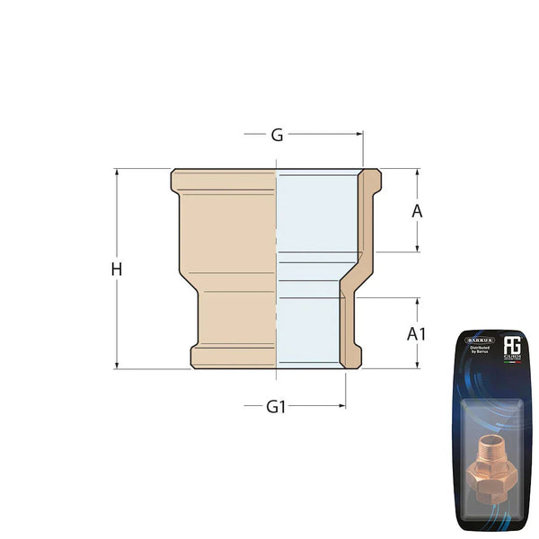Guidi Brass Reducing Socket F-F 1/2 in x 3/8 in - Retail Pack