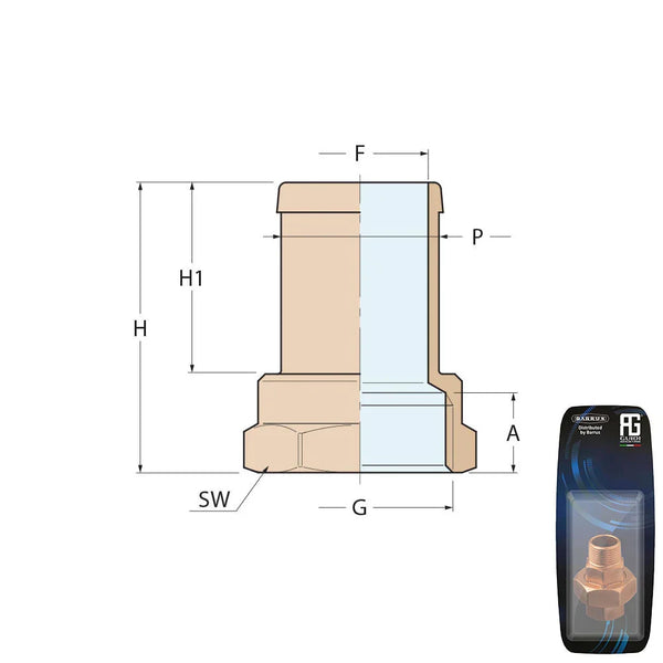 Guidi Brass Hose Connector 1 in 1/4 x 32 mm - Retail pack