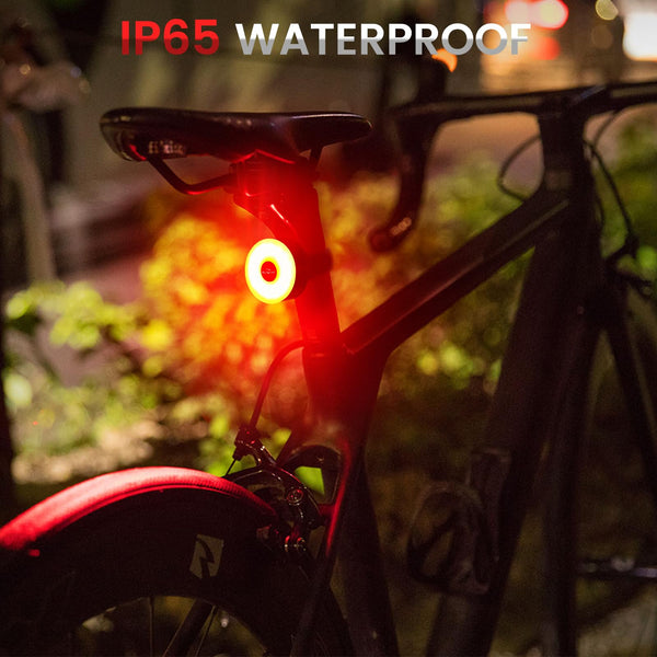 Rear Bike Light 90hrs Autonomy - Compact Size, IP65 Waterproof, USB C Rechargeable, Quick Release Mounts for Saddle & Seatpost, with 5 Steady Flash Modes, DON PEREGRINO M2 Bike Back Light