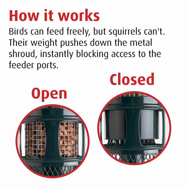 Jacobi Jayne SB-PN Squirrel Proof Bird Feeder - Squirrel Buster Peanut - Marauders off! Guaranteed Squirrel and Large Bird Proof / Metal, Green